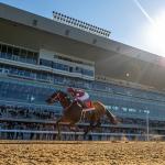 Forever Young Too Good for Opposition in Jockey Club Gold Cup